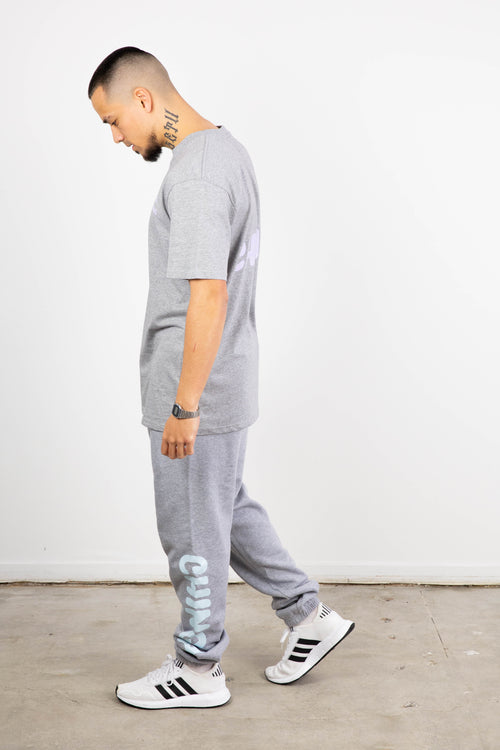 *DENZEL T-SHIRT GREY