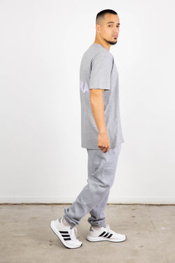 *DENZEL T-SHIRT GREY