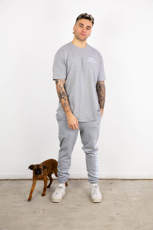 *DENZEL T-SHIRT GREY